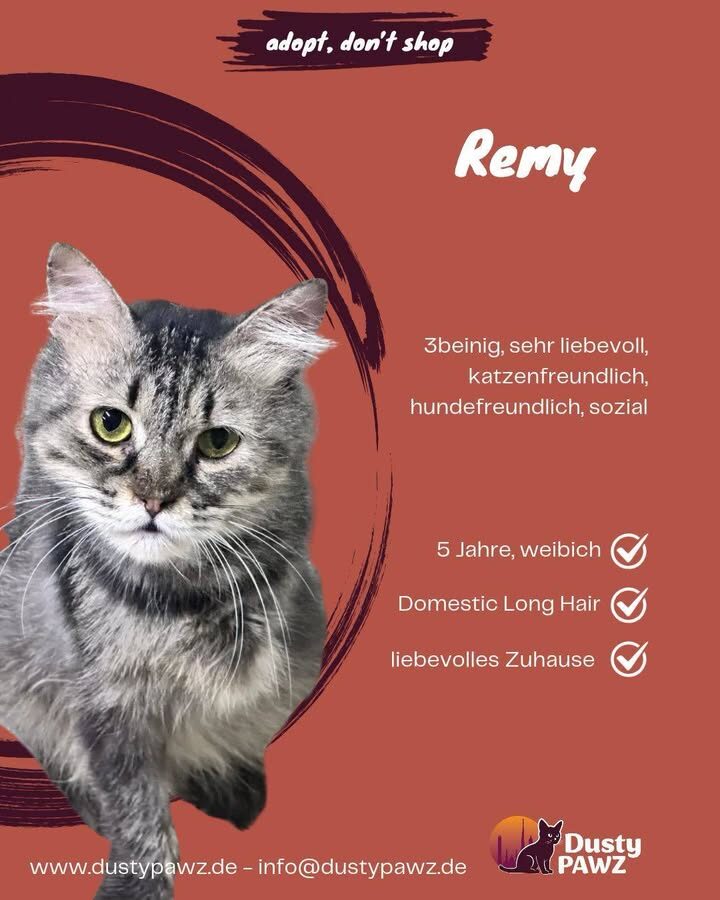 REMY 🥰😻